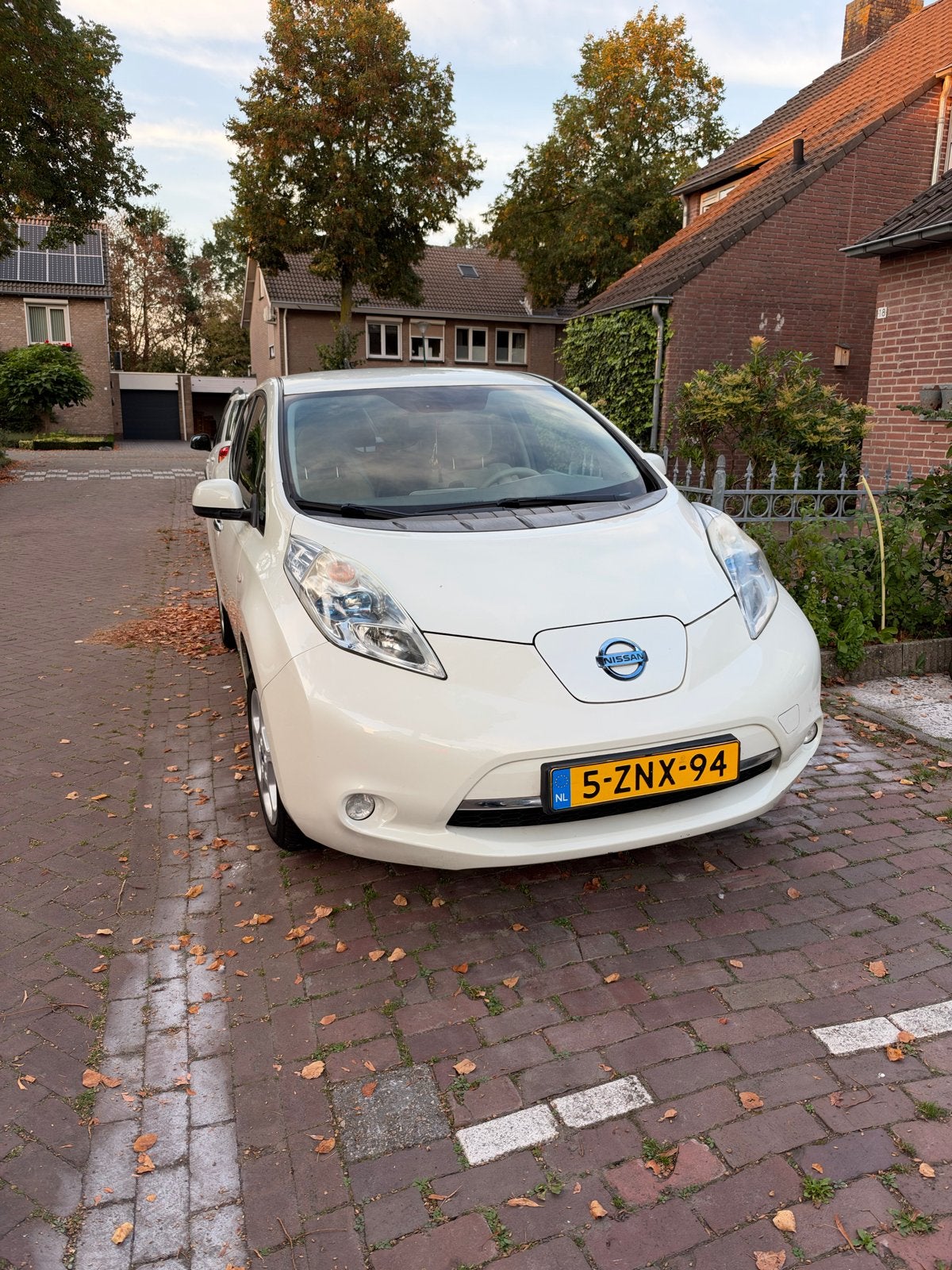 Nissan Leaf 2011 Wit