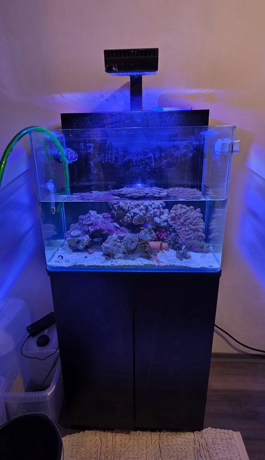 Blue Marine Reef 120 [Leeg], Ophalen, Zo goed als nieuw, Leeg aquarium
