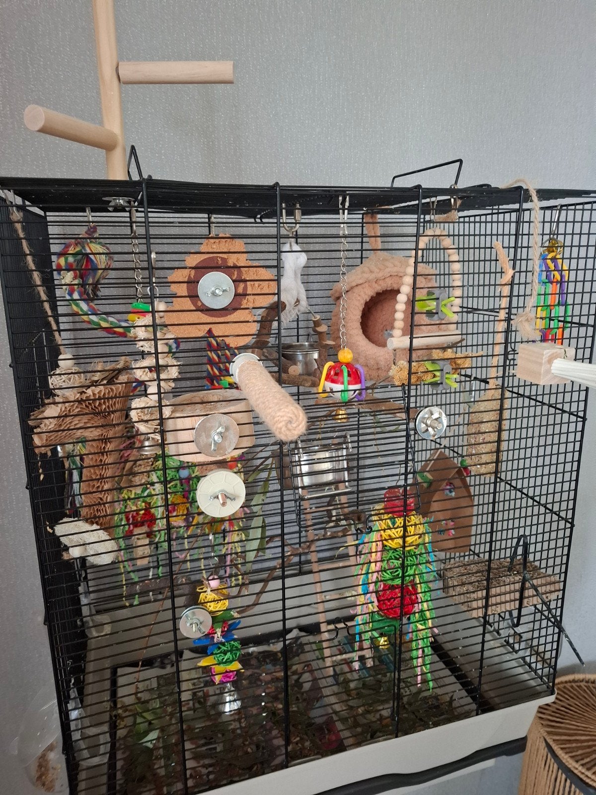 vogelkooi kleine parkieten, Dieren en Toebehoren, Ophalen, Zo goed als nieuw, Metaal, Vogelkooi
