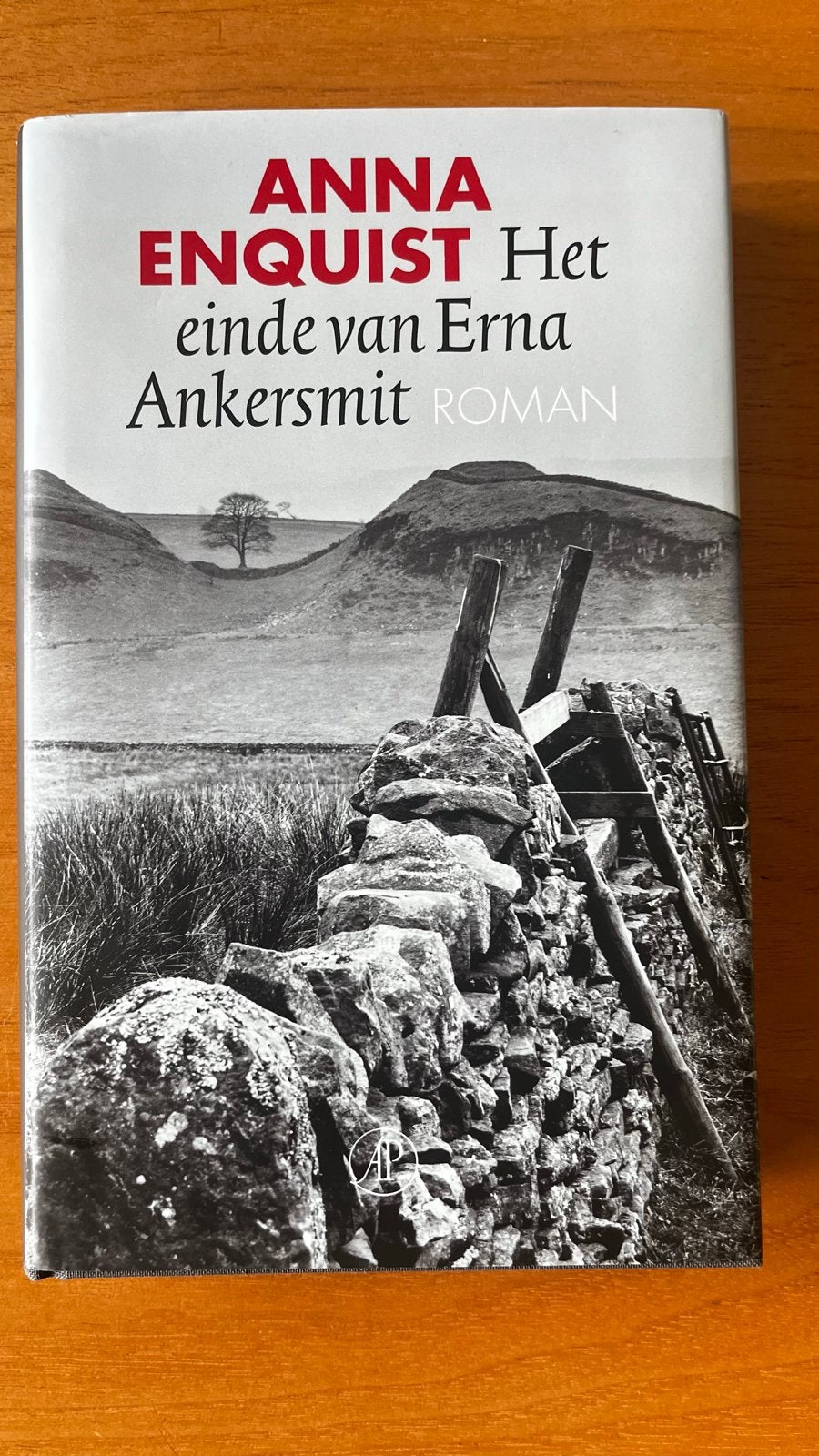 Anna Enquist - Het einde van Erna Ankersmit ROMAN, Ophalen of Verzenden, Zo goed als nieuw, Nederland