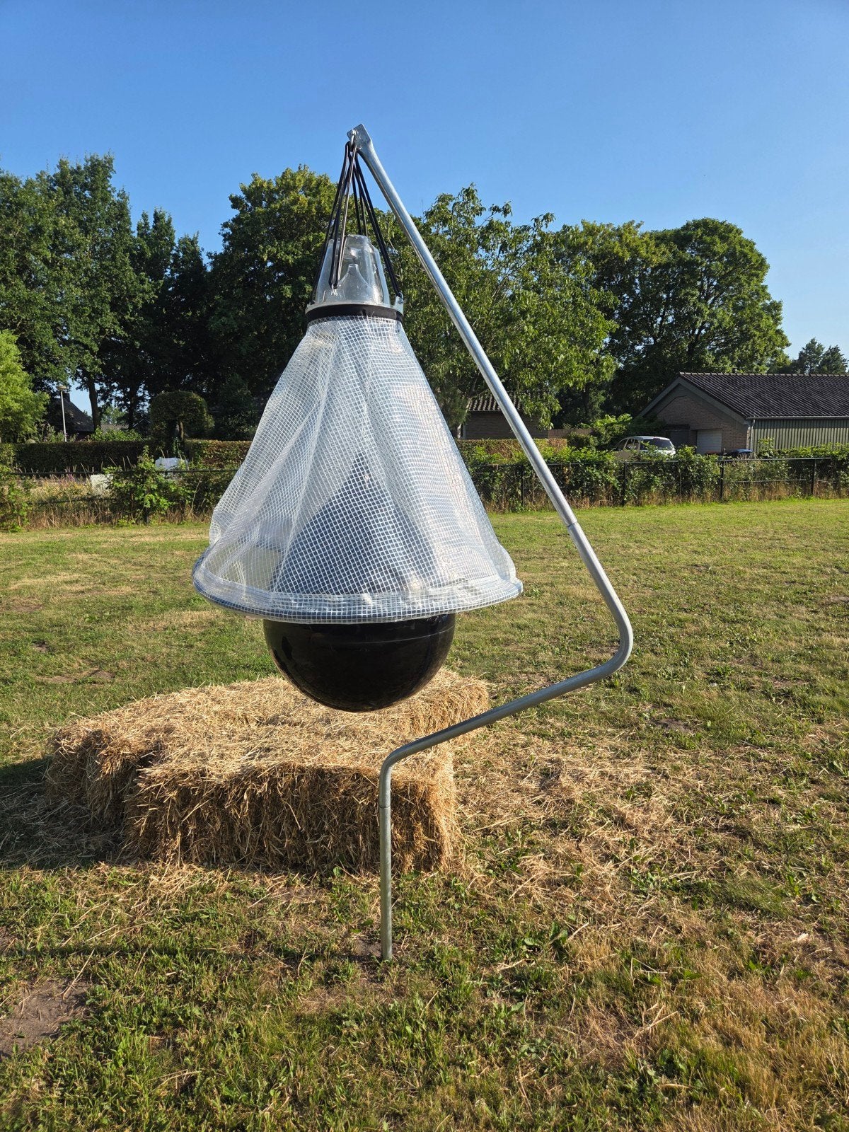 Dazenval - Slechts 2 dagen gebruikt voor feest, Ophalen of Verzenden, Zo goed als nieuw