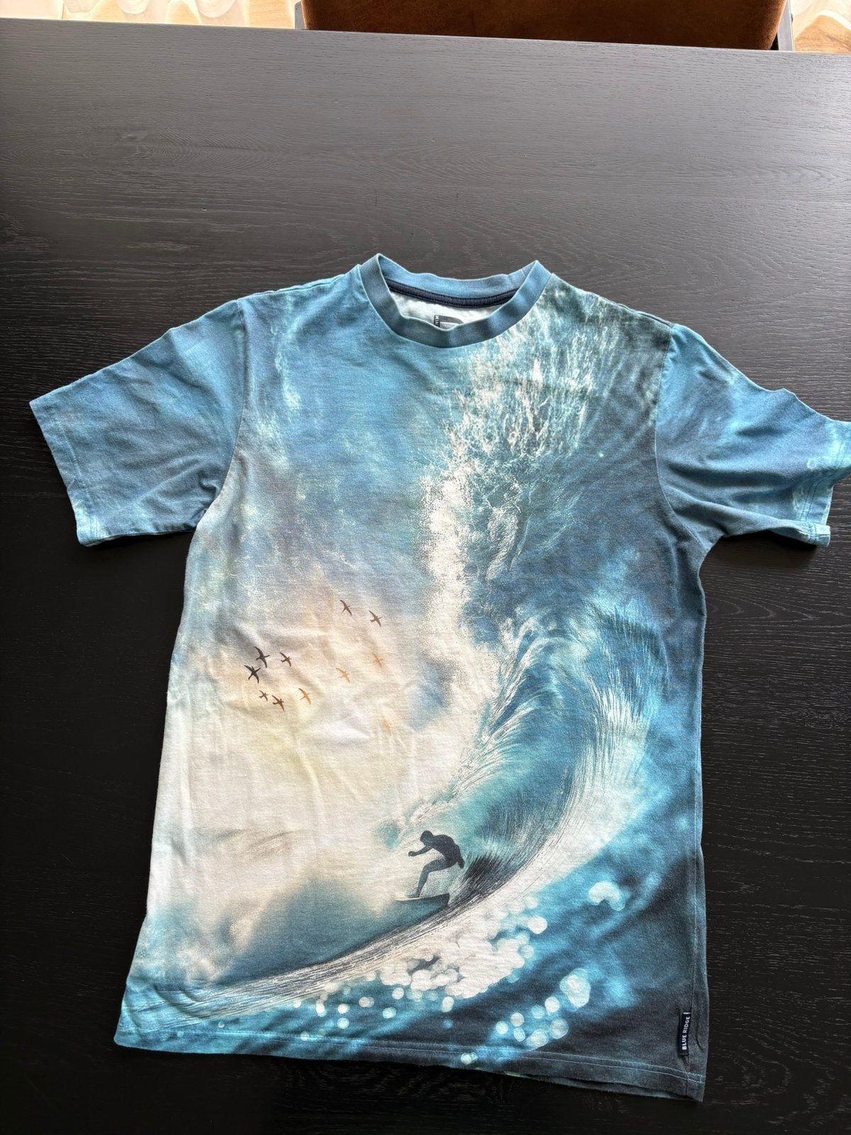 T shirt, Kinderen en Baby's, Kinderkleding | Maat 158, Ophalen of Verzenden, Zo goed als nieuw, Jongen of Meisje, Shirt of Longsleeve