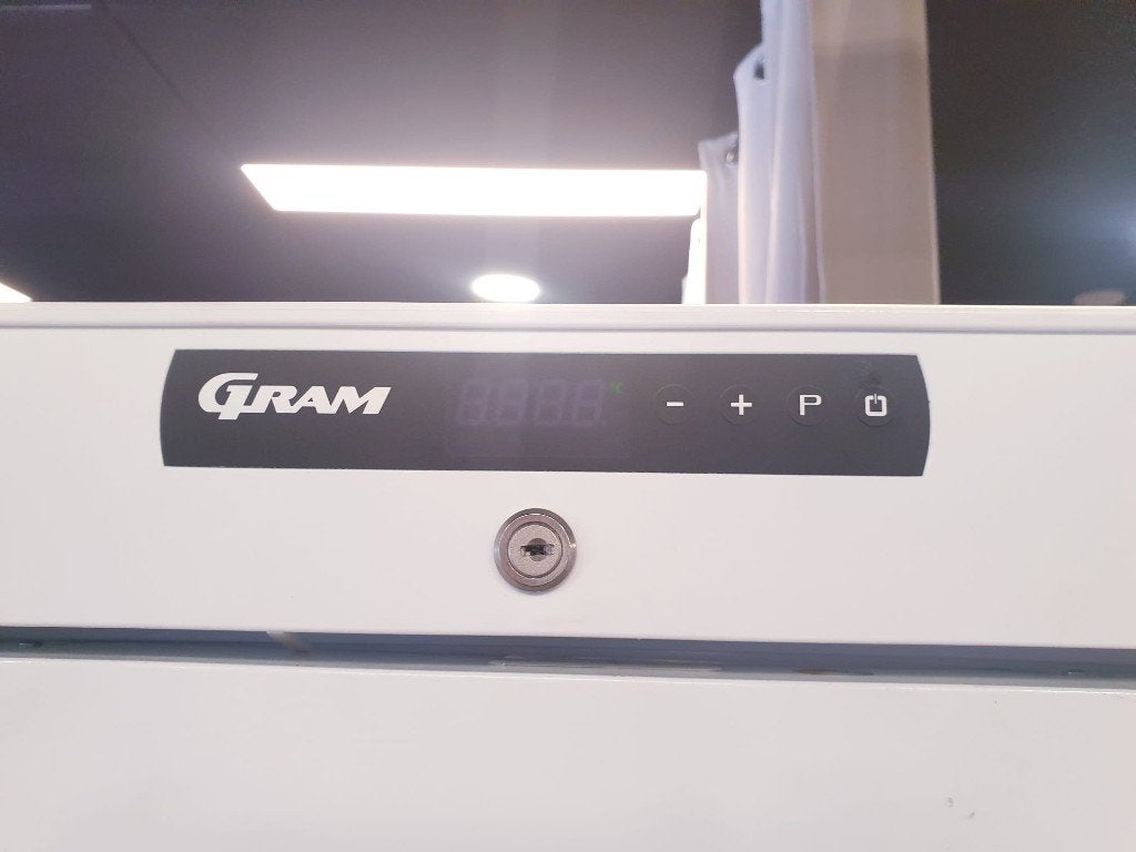 Gram Professionele vriezer inc 6 mnd garantie, Witgoed en Apparatuur, Vriezers en Diepvrieskisten, 160 cm of meer, Zo goed als nieuw