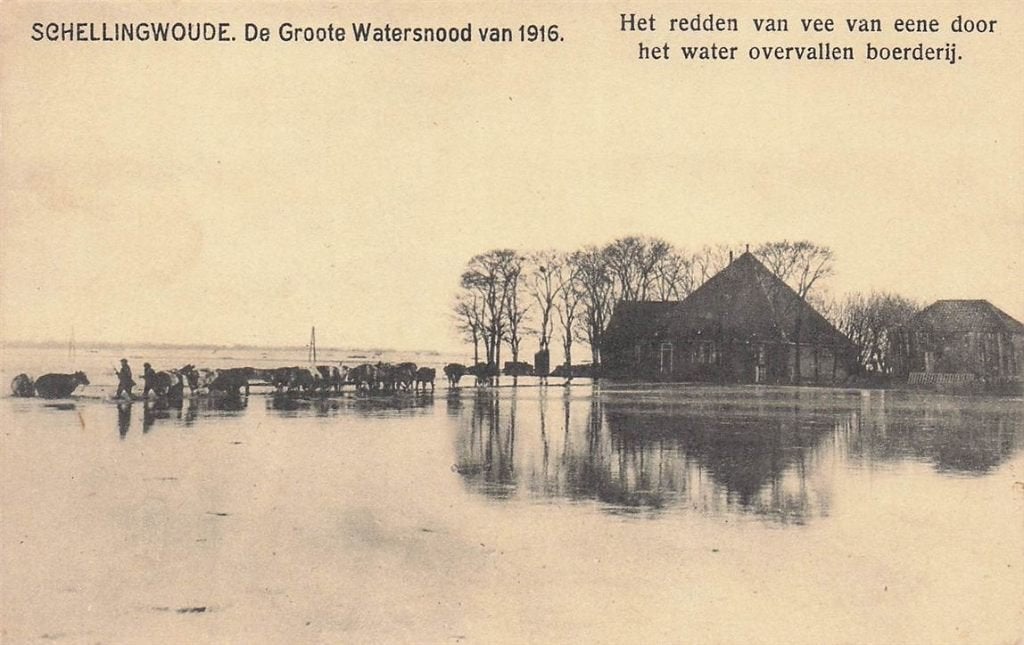 702-123-043 Schellingwoude De Groote Watersnood Van 1916, Verzenden, Voor 1920, Noord-Holland