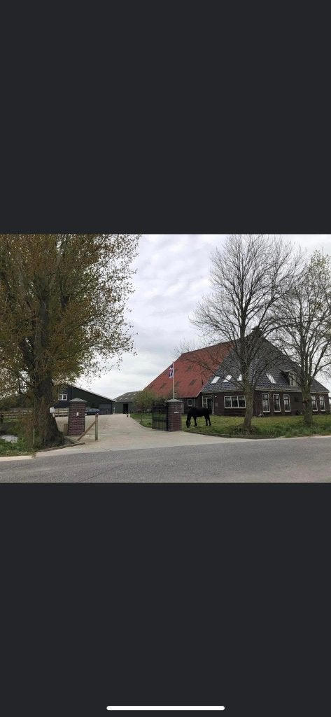 Stalling vlakbij Sneek/Bolsward, Stalling