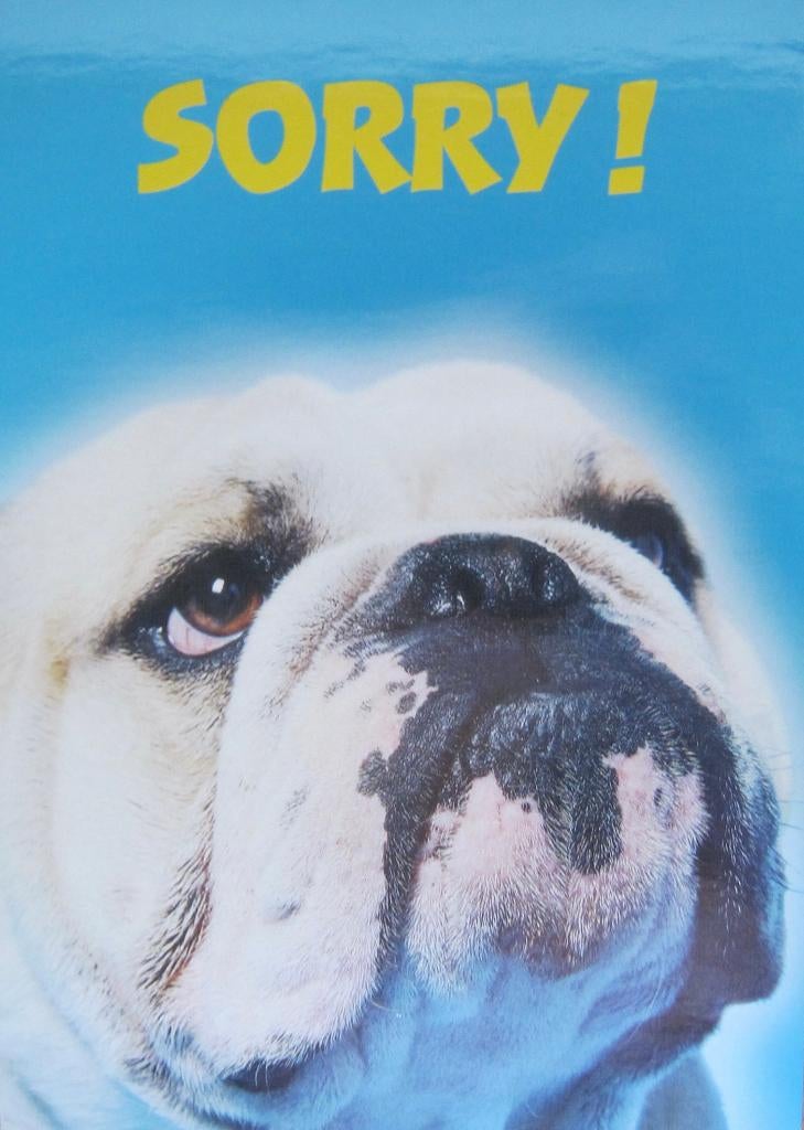 nieuwe ansichtkaart van een Bulldog met de tekst sorry, Verzenden, 1980 tot heden, Ongelopen, Hond of Kat