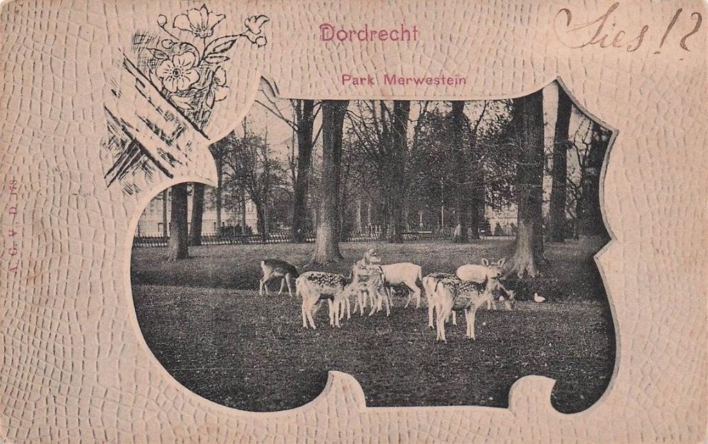 702-214-023 Dordrecht Park Merwestein, Verzenden, Voor 1920, Zuid-Holland