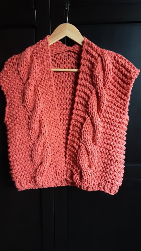 Gilet, Ophalen of Verzenden