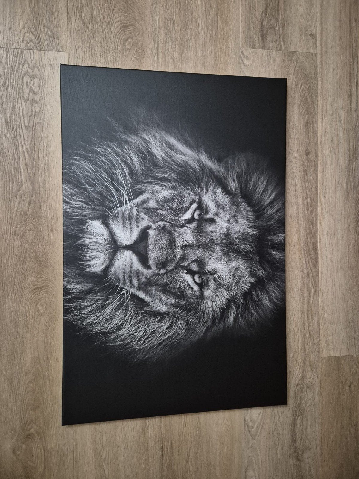 Canvas leeuw, Ophalen of Verzenden, Schilderij, Minder dan 50 cm