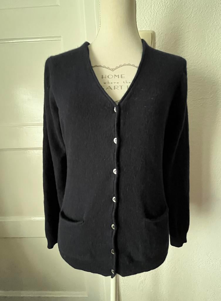 Repeat, cashmere vestje, Ophalen of Verzenden, Gedragen, Maat 38/40 (M), Blauw