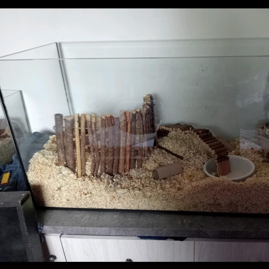 Terrarium met zwarte deksel met ijzeren gazen gaten, 110 cm of meer, Overige typen, 60 tot 90 cm, Ophalen of Verzenden