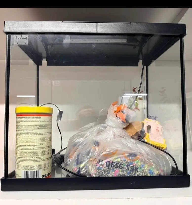 Aquarium met verlichting en decoratie, Ophalen, Leeg aquarium