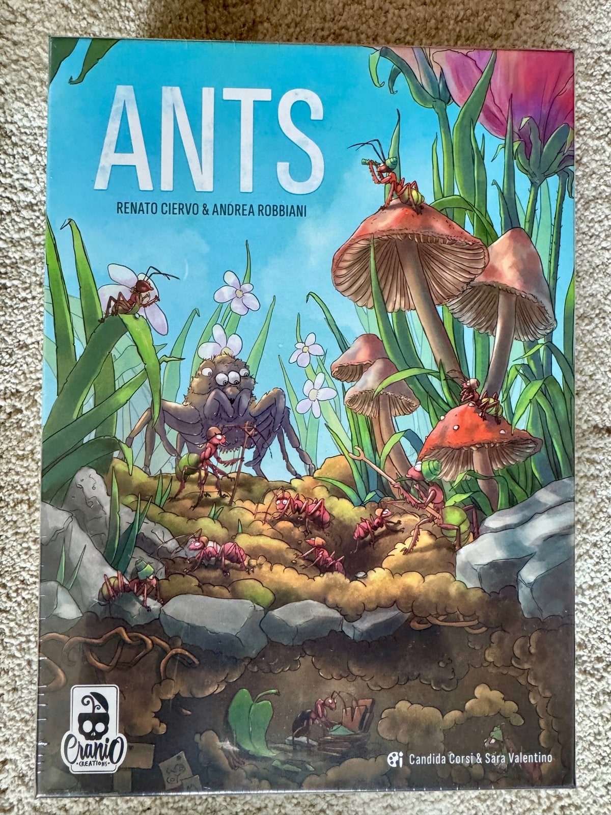 Ants - Strategisch bordspel - Nieuw in plastic, Een of twee spelers, Ophalen of Verzenden, Nieuw