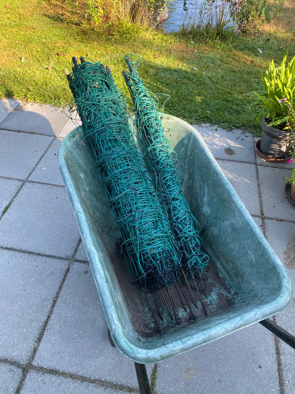 Drie rollen schapengaas, Ophalen, Gebruikt, 20 meter of meer, Gaas