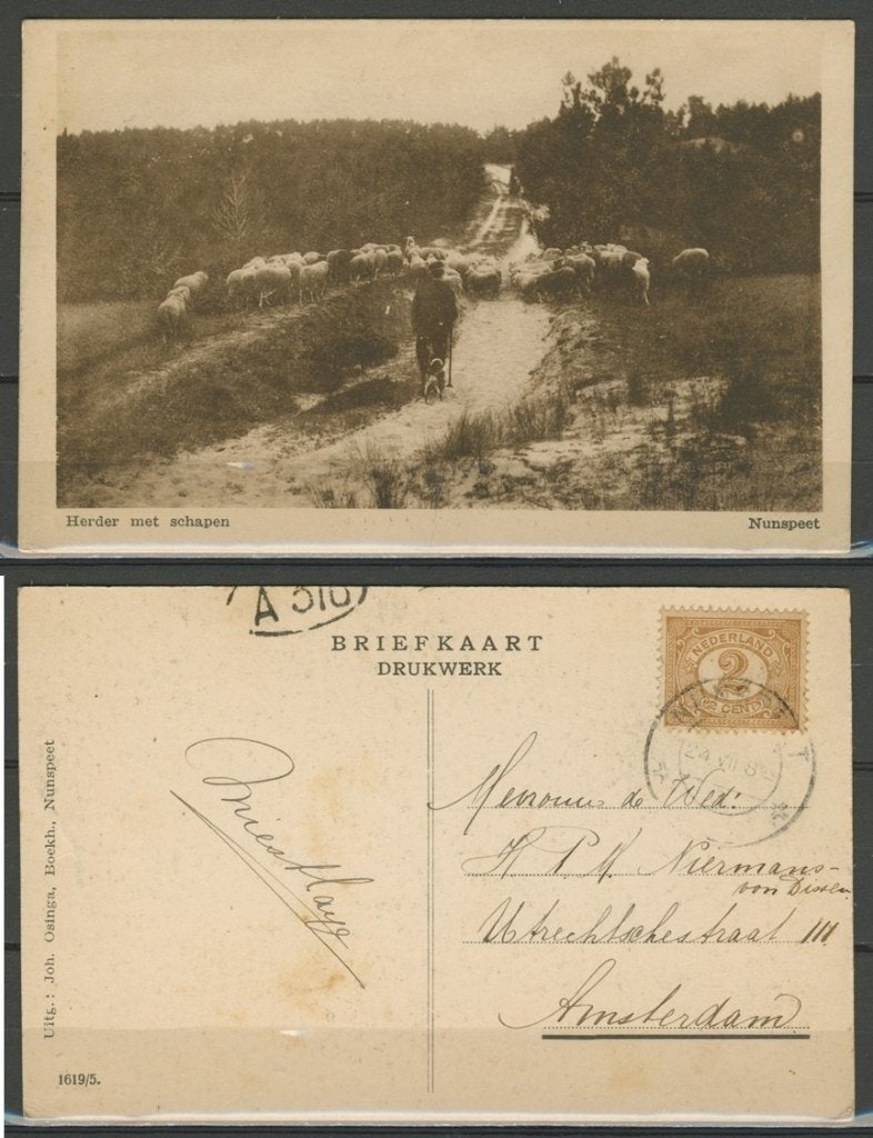 Nunspeet 1928 Herder met schapen Ansichtkaart 1038 jdu, Ophalen of Verzenden, 1920 tot 1940, Gelopen, Gelderland