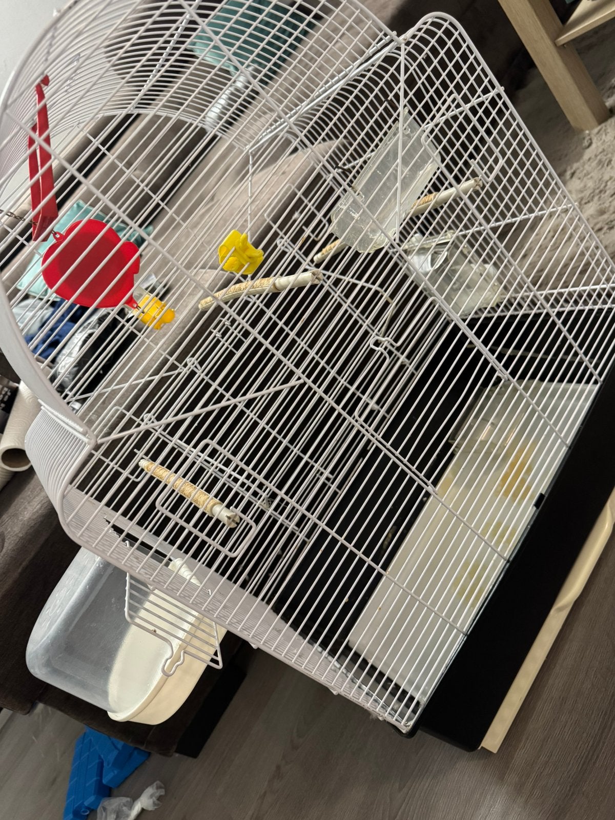 Vogelkooi, Ophalen of Verzenden, Zo goed als nieuw, Metaal, Vogelkooi