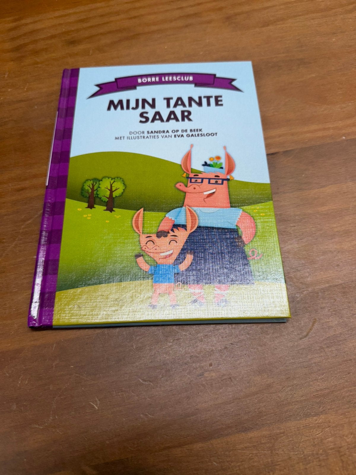 Sandra Op de Beek - Mijn tante Saar, Fictie algemeen, Sandra Op de Beek, Ophalen of Verzenden, Zo goed als nieuw