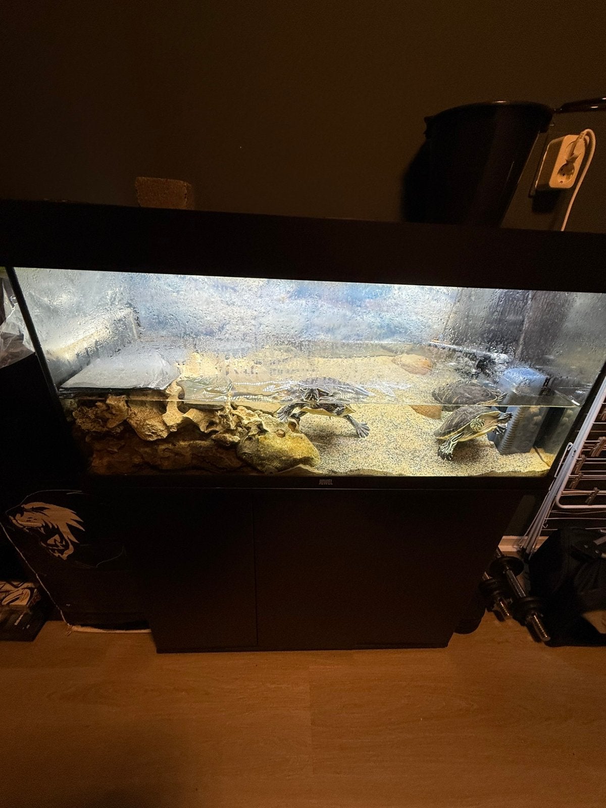 180 liter aquarium, Ophalen, Zo goed als nieuw, Leeg aquarium