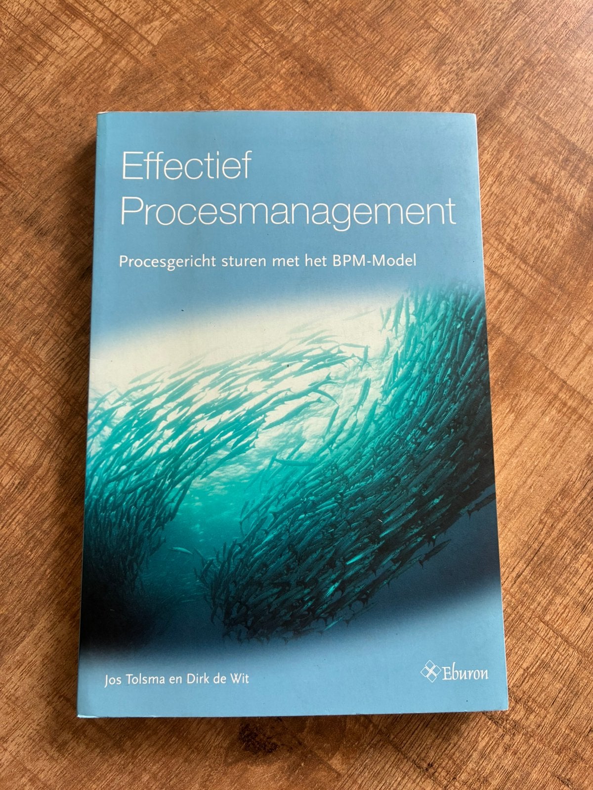 Effectief Procesmanagement - Jos Tolsma & Dirk de Wit, Boeken, Ophalen of Verzenden, Zo goed als nieuw, J. Tolsma, Sociale wetenschap