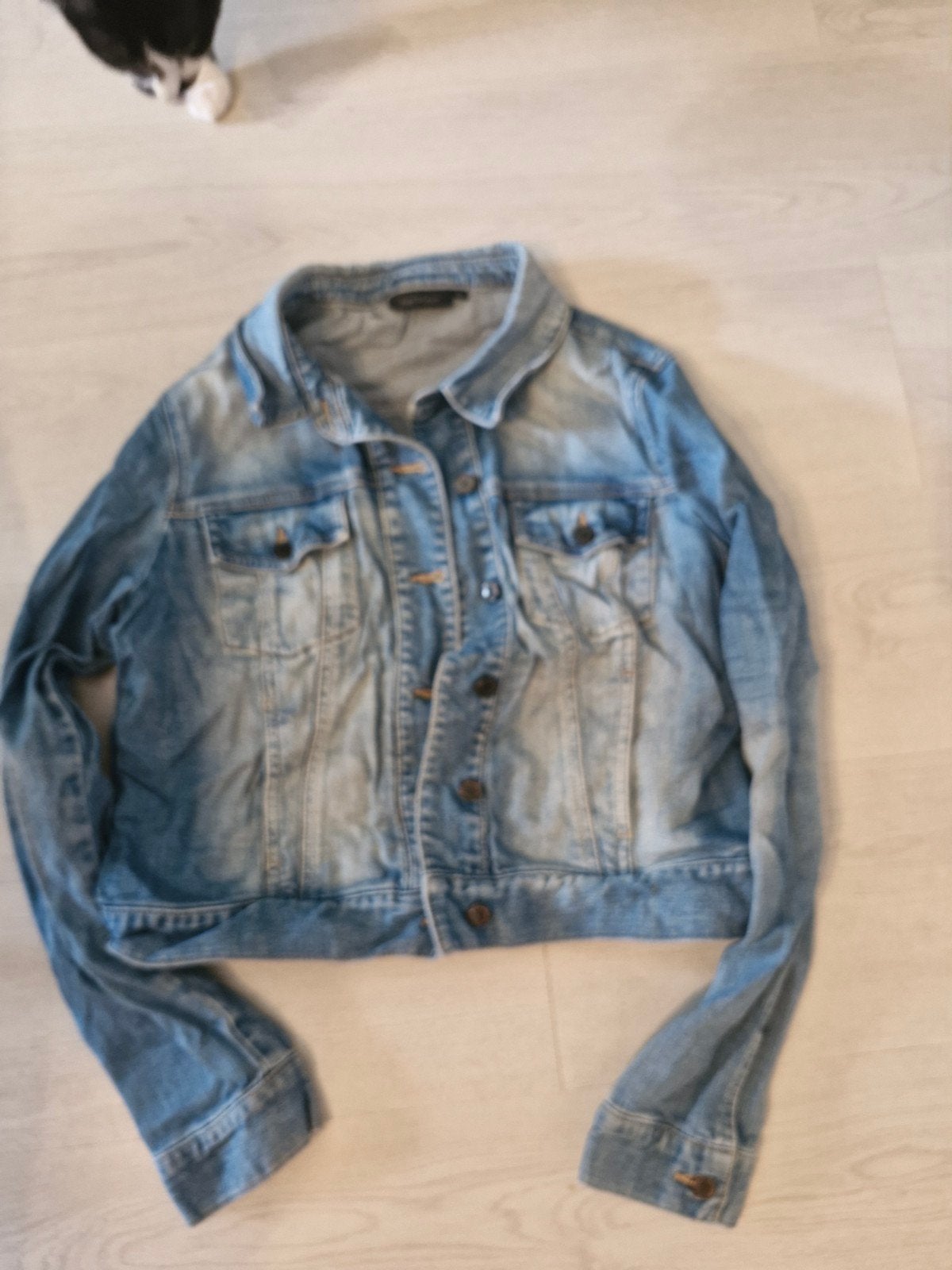 Spijkerjas, Kleding | Dames, Jassen | Zomer, Ophalen of Verzenden, Zo goed als nieuw, Maat 42/44 (L), Blauw