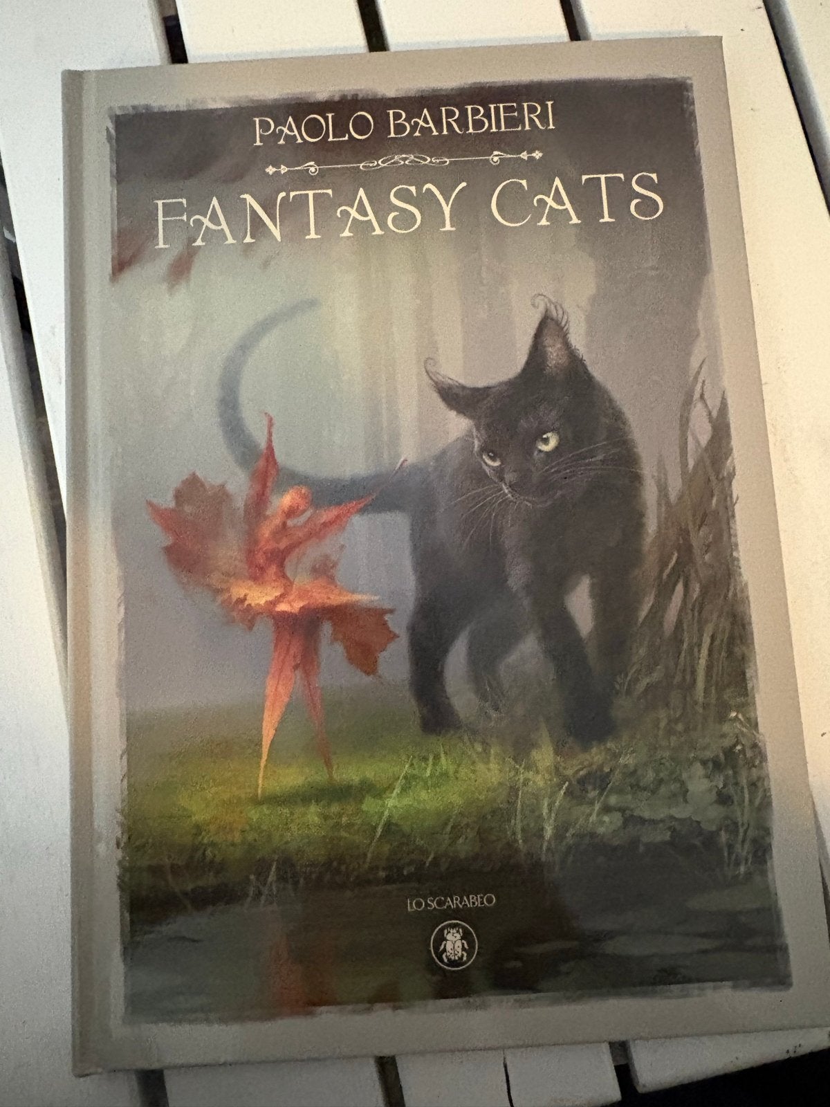 Fantasy Cats - Paolo Barbieri -NIEUW- Prachtig geïllustreerd, Boeken, Ophalen, Nieuw