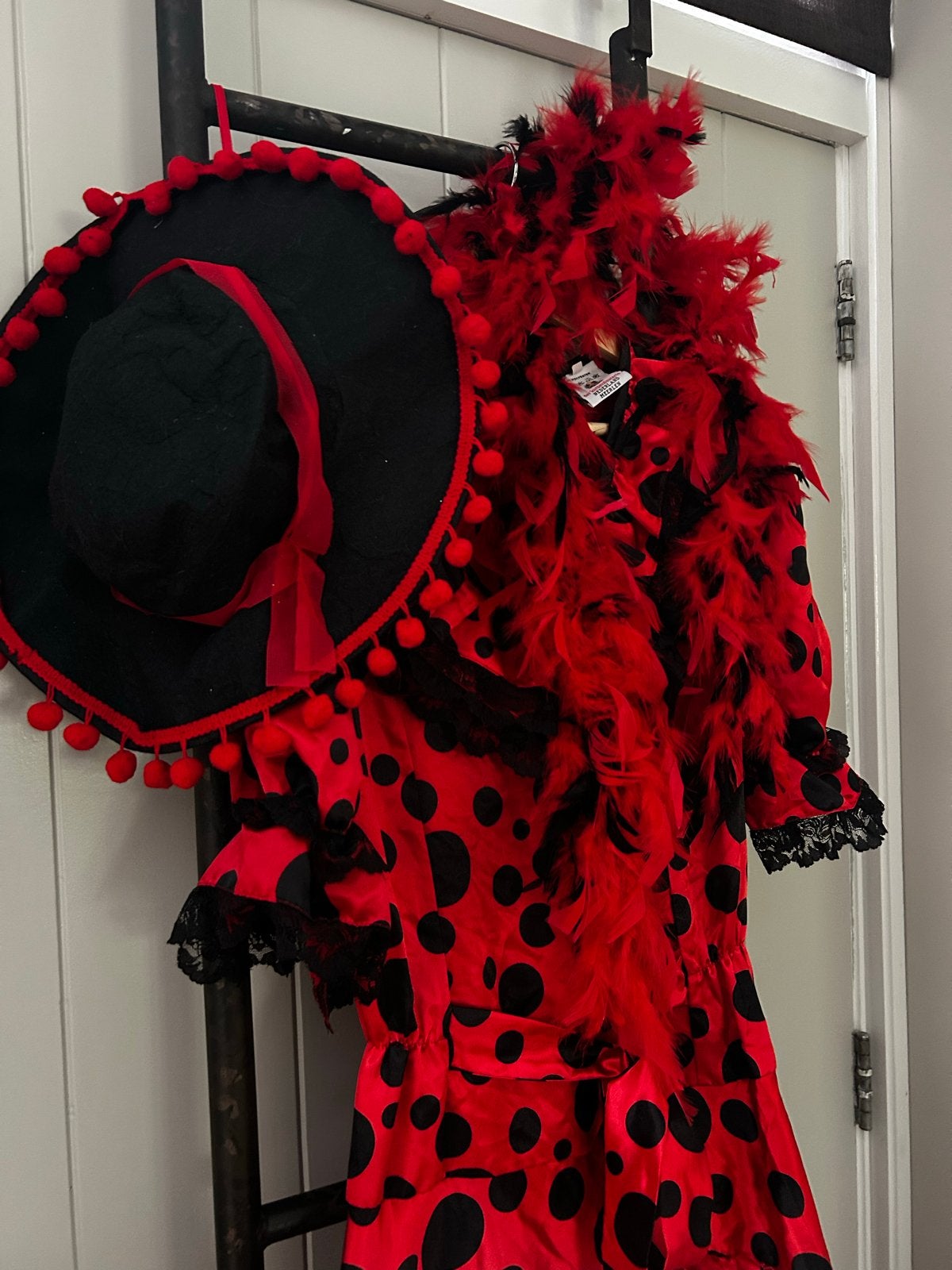Spaanse danseres carnavalsjurk maat 38 met boa en hoed, Maat 38/40 (M), Carnaval, Ophalen of Verzenden, Zo goed als nieuw