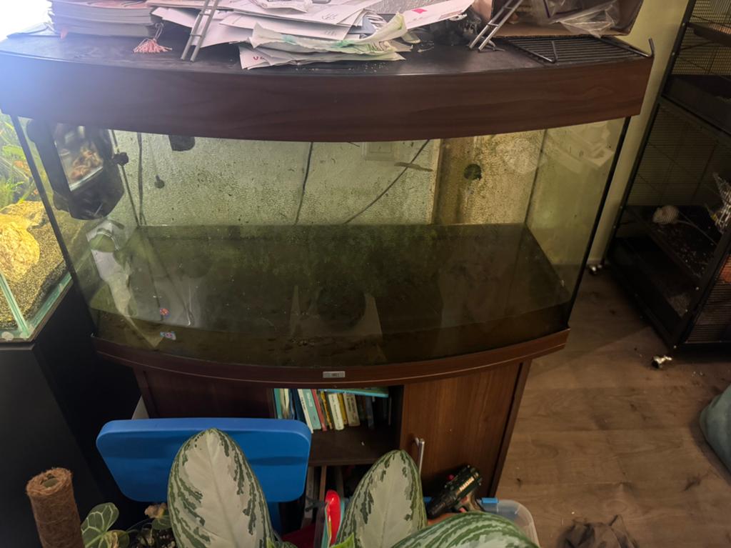 Aquarium juwel vision 180 met meubel, Ophalen, Gebruikt, Leeg aquarium, Juwel
