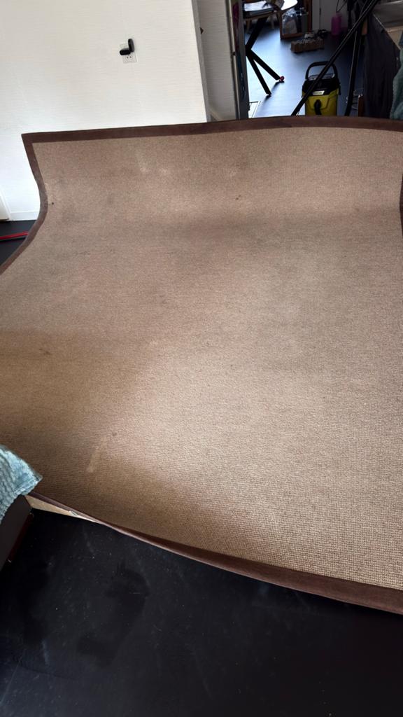 Vloerkleed 300x250 cm - Beige/Bruin, Huis en Inrichting, Stoffering | Tapijten en Kleden, Ophalen, Gebruikt, Beige, 200 cm of meer