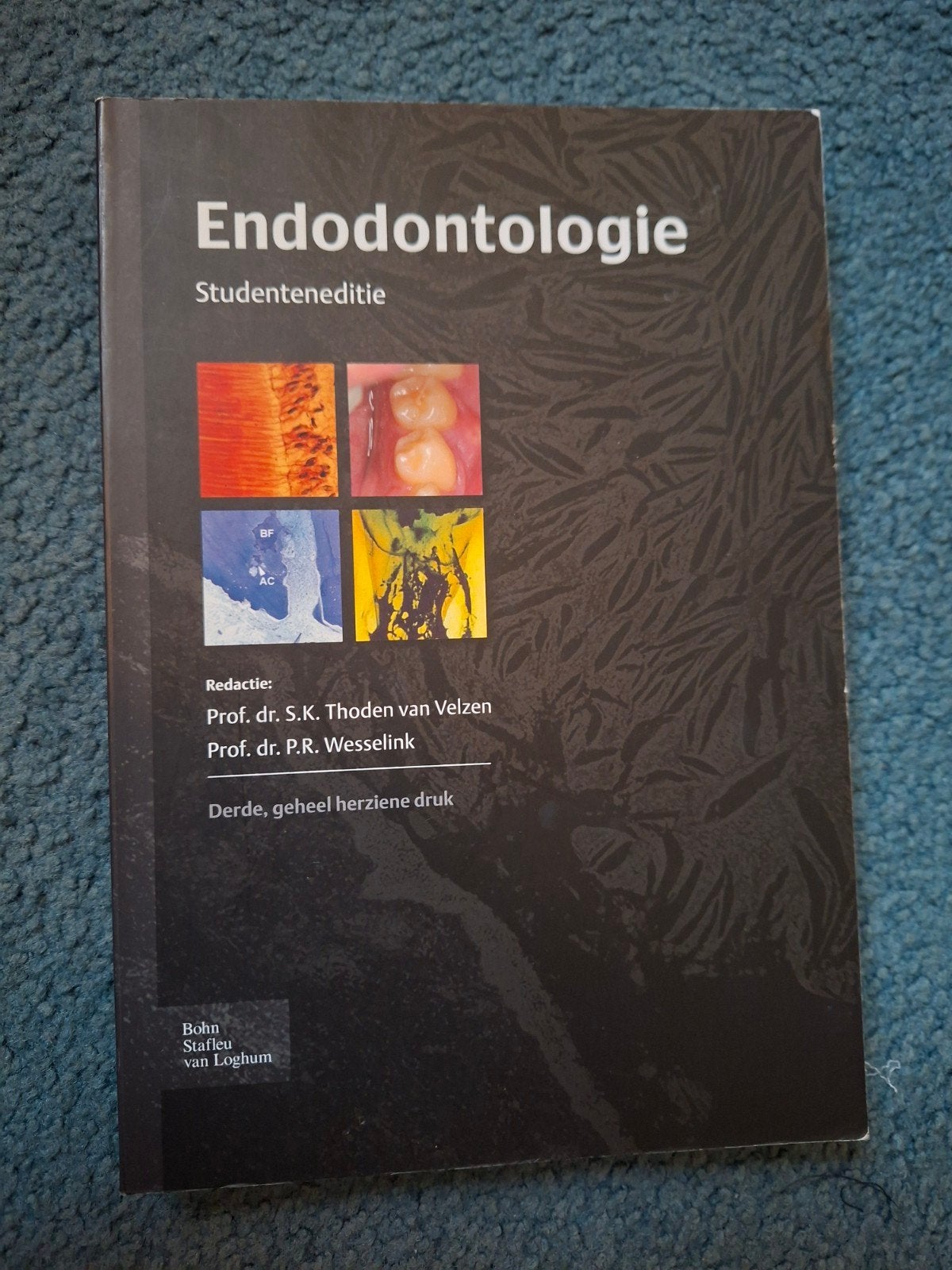 Endodontologie studenteneditie, Ophalen of Verzenden, Zo goed als nieuw