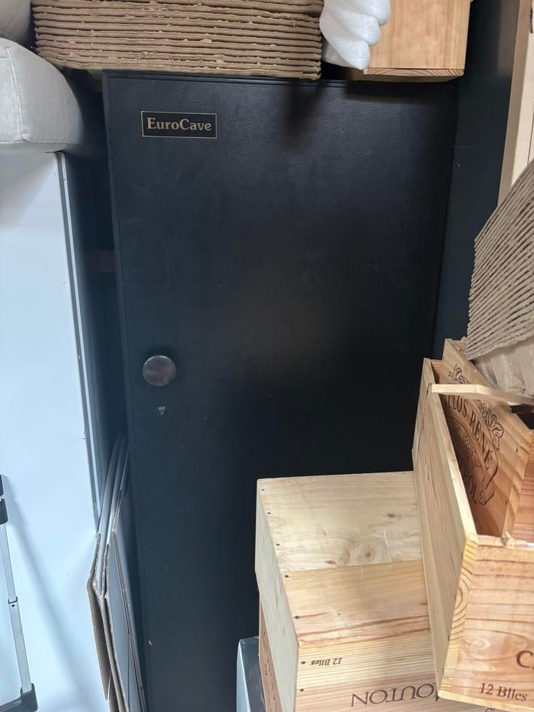 Eurocave 264 Wijnklimaatkast - Perfecte Bewaring, Witgoed en Apparatuur, Koelkasten en IJskasten, Ophalen, 200 liter of meer, 60 cm of meer