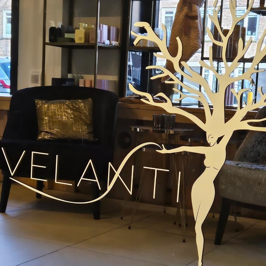 Velanti Expierence stoelverhuur haarstylisten