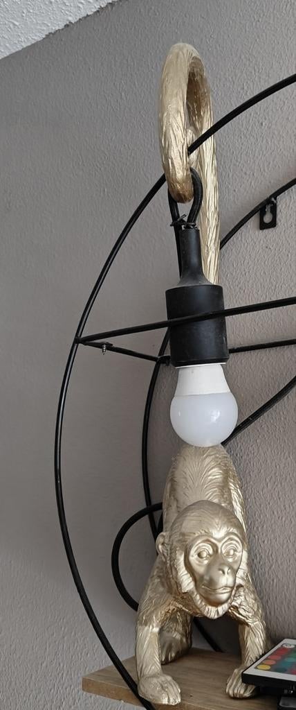 Een goud aapje (zonder lamp!), Ophalen of Verzenden, Dier
