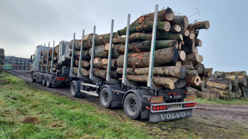 Stamhout/rondhout/haardhout - Doe-het-zelver & Professionals