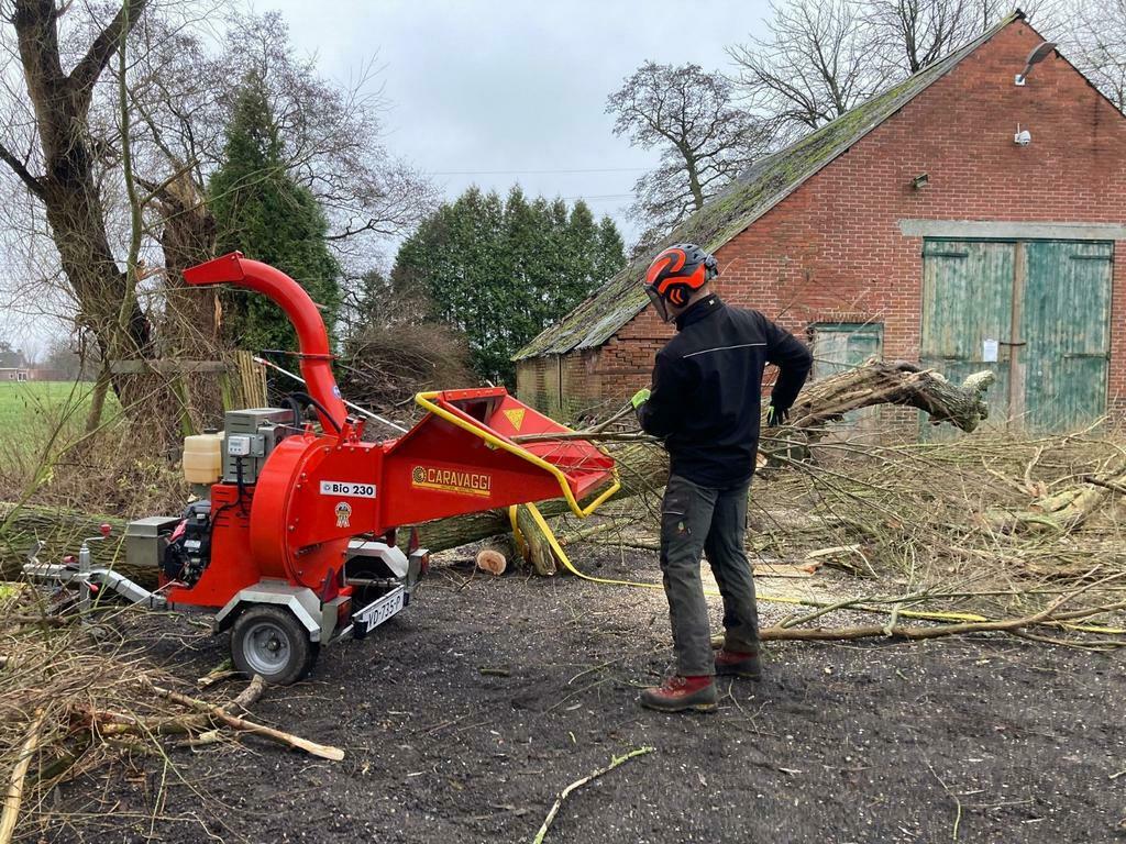 Hovenier/Bomen kappen/snoeien /hakselaar/heg verwijderen