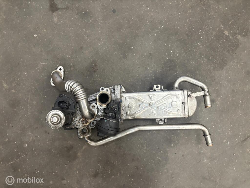 EGR koeler Volkswagen Polo 6R 1.2 TDI(09-14) 03P 131 512 D, Gebruikt, Volkswagen, Volkswagen AG, Berliner Ring 2, 38440 Wolfsburg