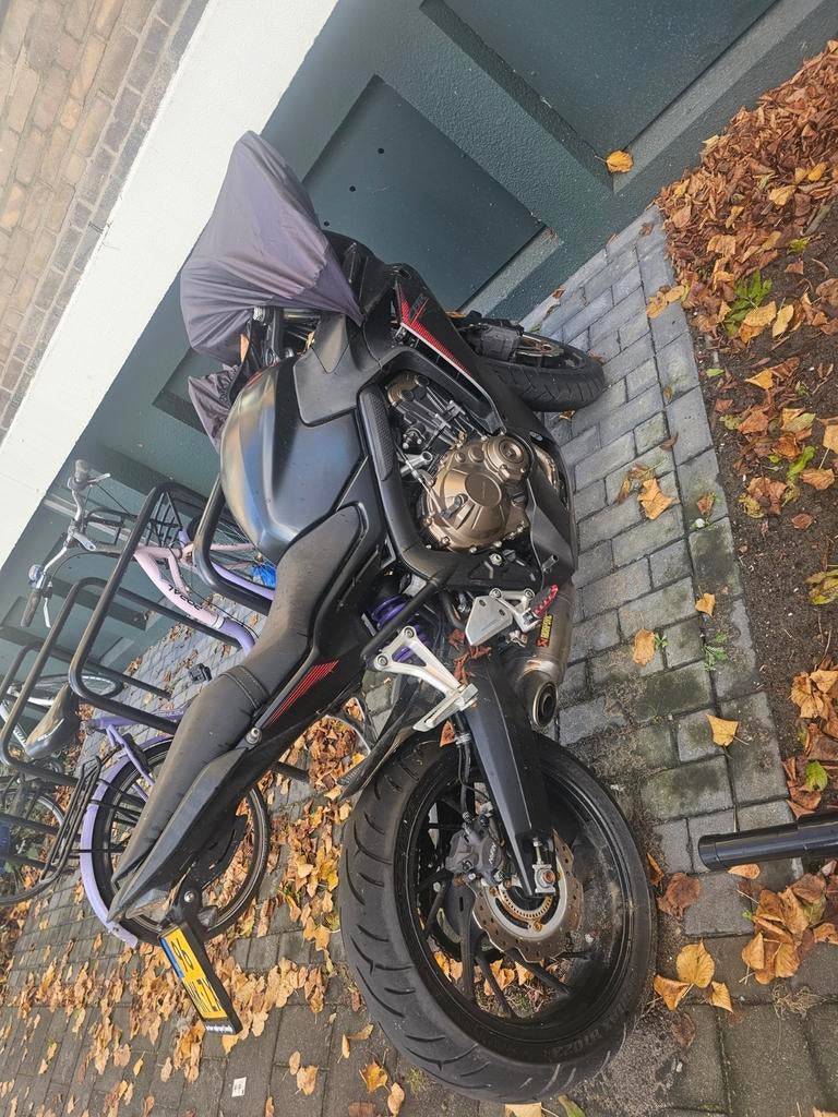 honda CBR 650 F, Particulier