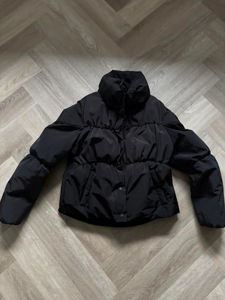 Airforce puffer jas maat xs/176, Ophalen of Verzenden, Gebruikt, Meisje, Jas