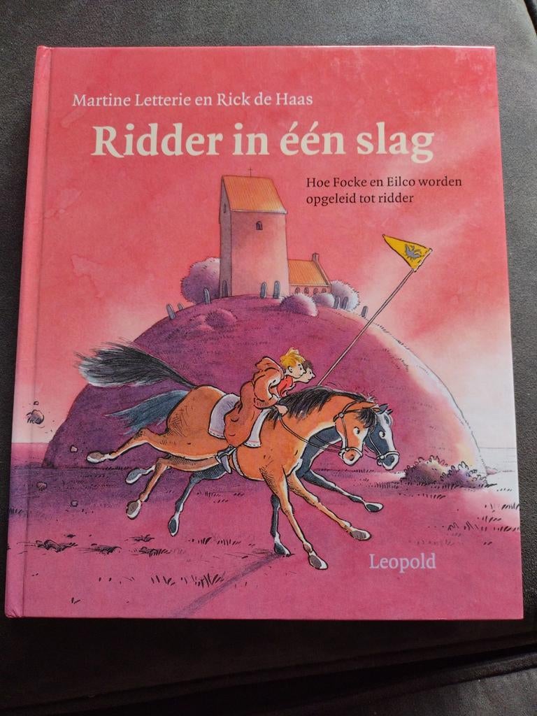 Martine Letterie - Ridder in een slag, Ophalen of Verzenden, Zo goed als nieuw, Martine Letterie