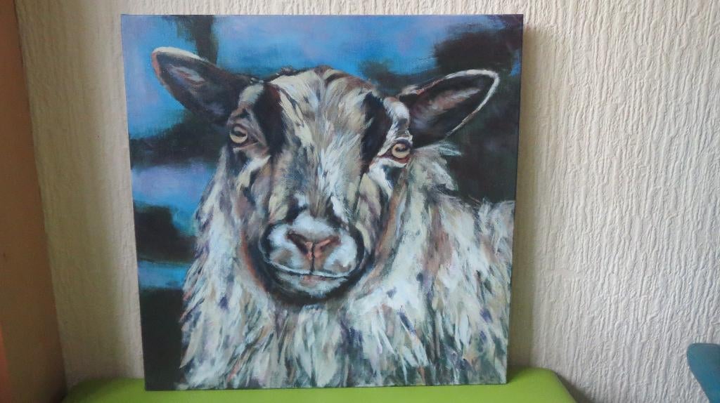 schilderij ouessant schaap, acrylverf op doek, lage prijs, Verzenden