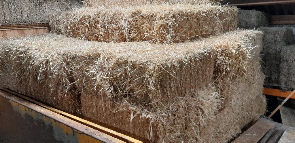 Gerste stro balen, Dieren en Toebehoren, Ophalen, Vee