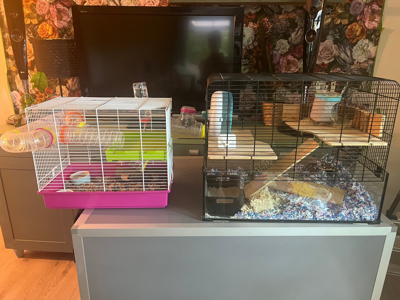 Super groot mooi hamsterhok, Dieren en Toebehoren, Knaagdieren en Konijnen | Hokken en Kooien, Minder dan 75 cm, Hok, Ophalen