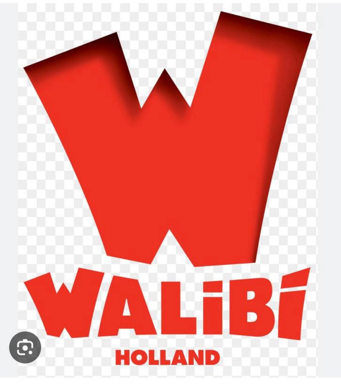 4 walibi tickets in 1 koop, Drie personen of meer, Ticket of Toegangskaart