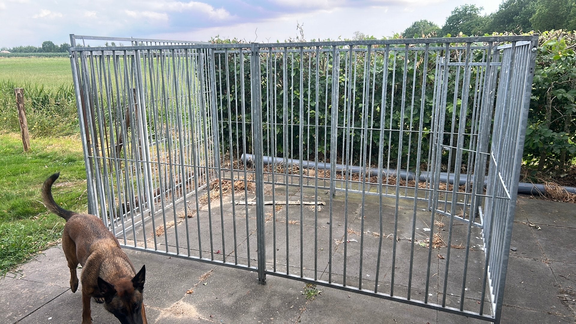 Hondenkennel 3x2, Hondenkennel, 100 cm of meer, Ophalen of Verzenden, 110 cm of meer