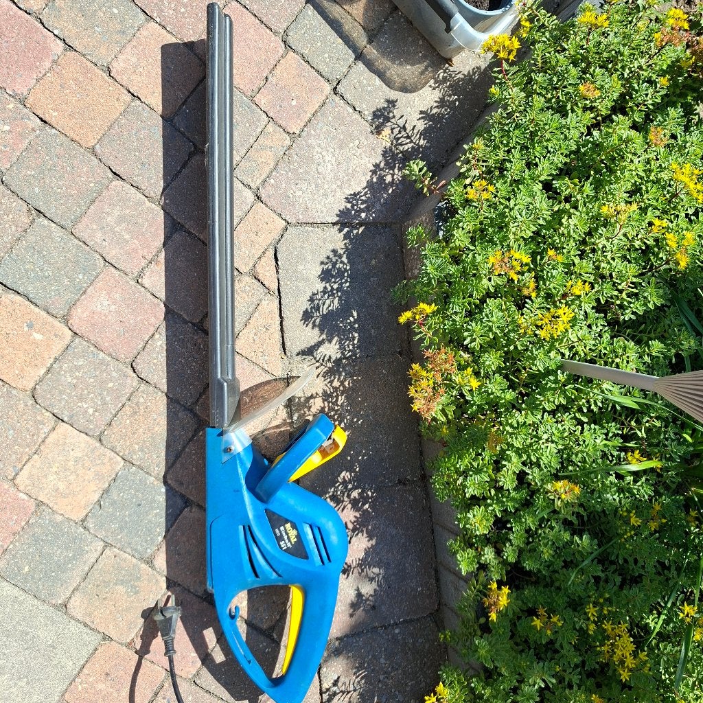 Einhell HEC 551 Elektrische Heggenschaar, Tuin en Terras, Ophalen, Gebruikt, Elektrisch, Einhell Royal