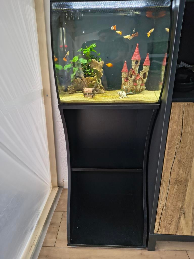 Aquarium 55 l, Dieren en Toebehoren, Vissen | Aquaria en Toebehoren, Ophalen