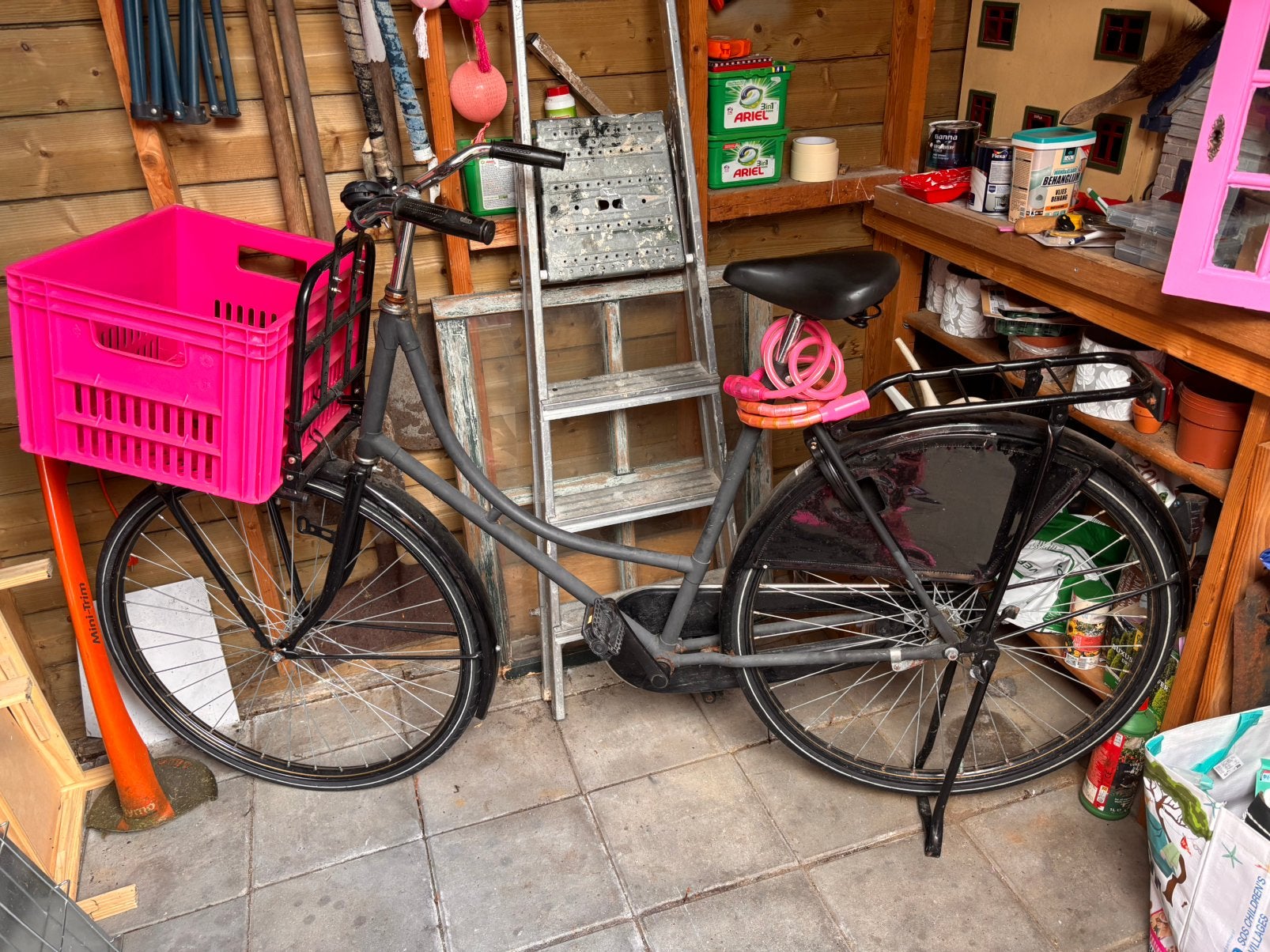 Volwassen omafiets, Ophalen, Terugtraprem, Versnellingen, 53 tot 56 cm