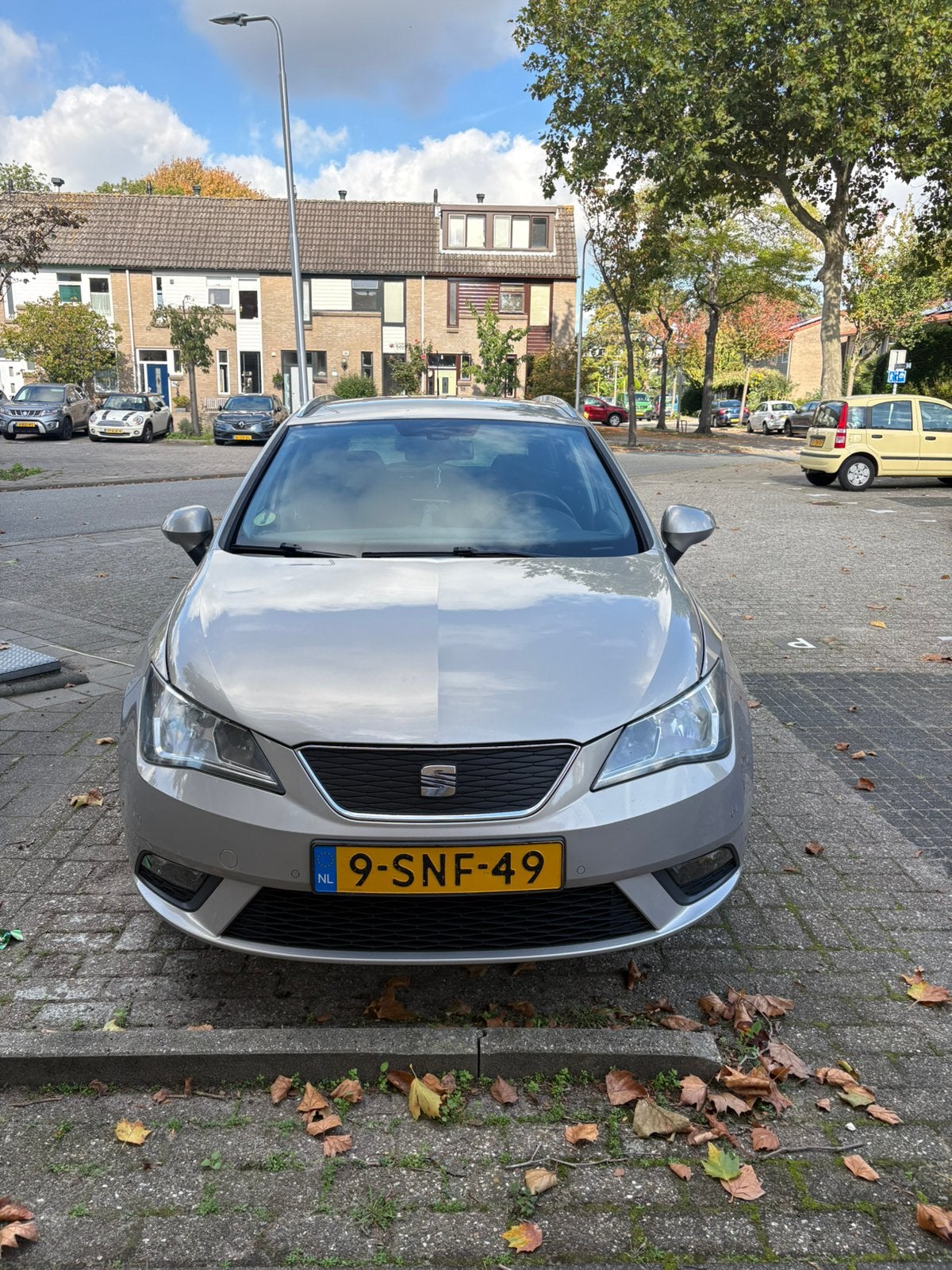 Seat Ibiza 1.2TDI Ecomotive ST 2013 Beige, Voorwielaandrijving, 74 pk, 1199 cc, Elektrische ramen