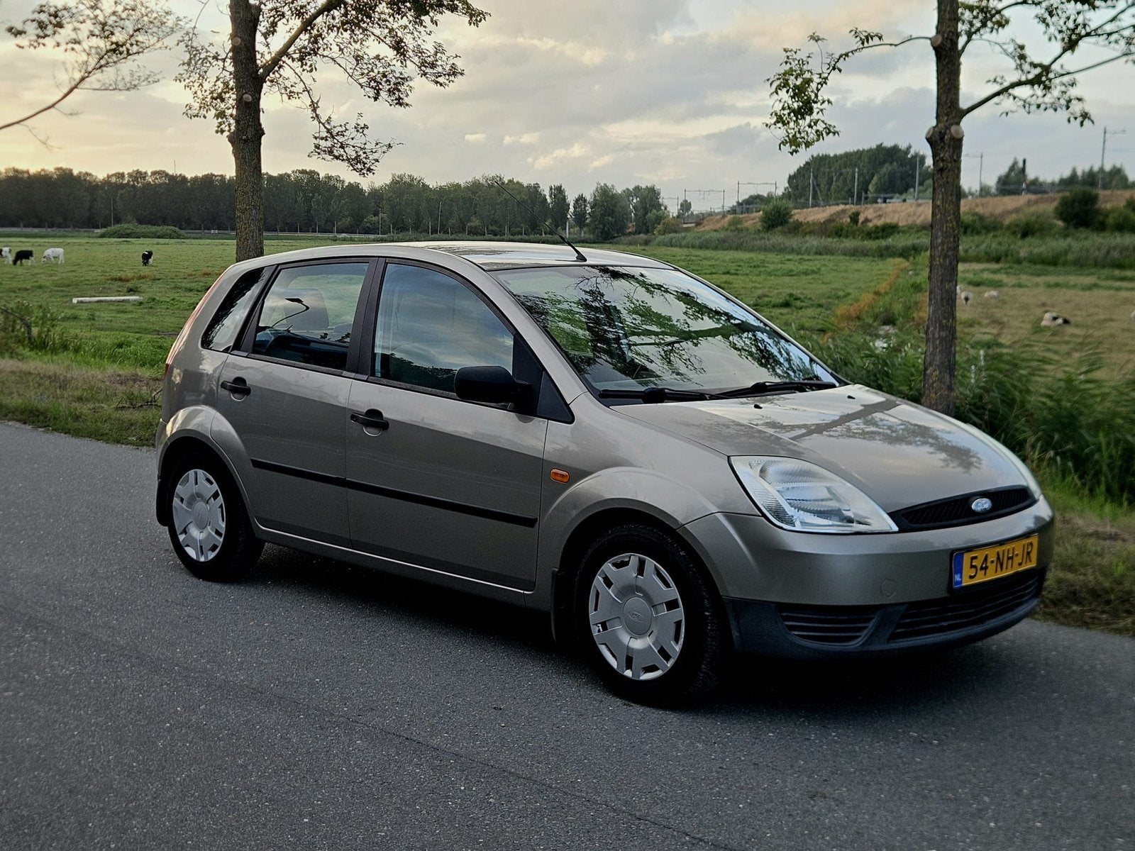 Ford Fiësta 1.3-8V/APK FEB 2027/AIRCO/TREKHAAK/NAP, 1299 cc, Stof, 4 cilinders, 49 €/maand