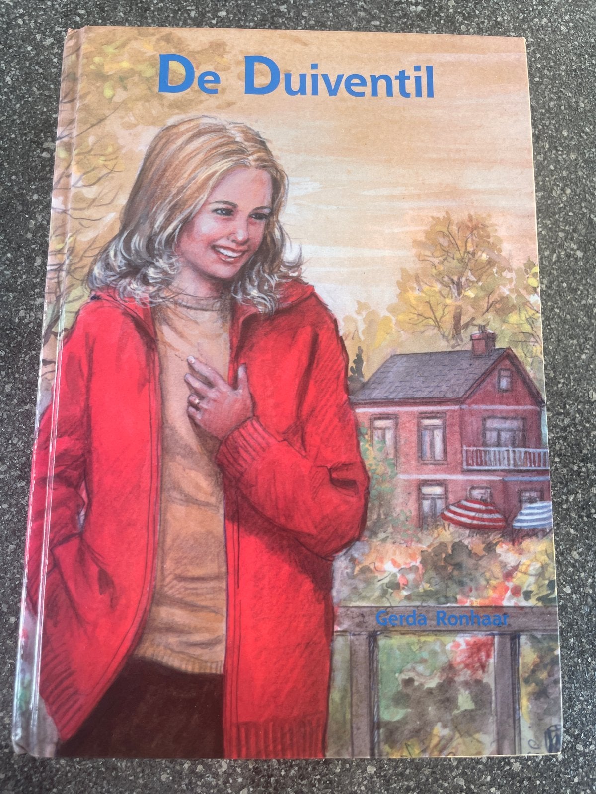 De Duiventil - Gerda Ronhaar (Uitgeverij Mes), Ophalen of Verzenden, Gelezen, Nederland