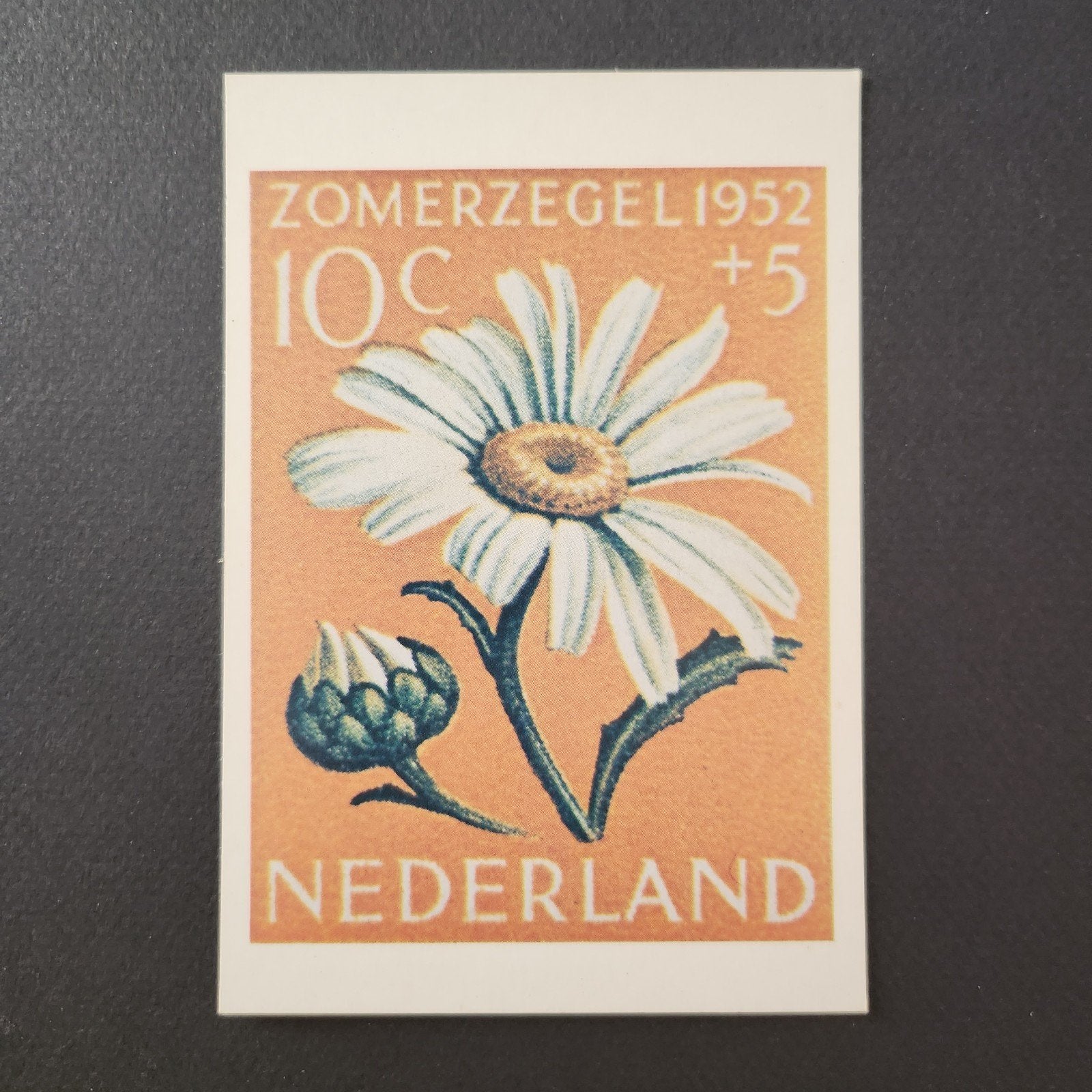 Maximumkaart Zomerzegel - Margriet Nederland, Ophalen of Verzenden, 1980 tot heden, Ongelopen, Cultuur en Media